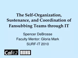 The Self-Organization, Sustenance, and Coordination of Fansubbing Teams through IT