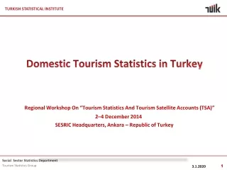 Domestic Tourism Statistics in Turkey