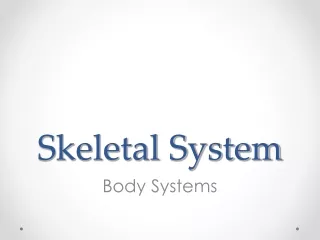 Skeletal System