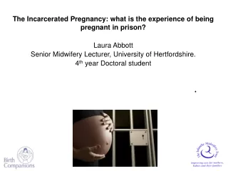 The experience of pregnant prisoners: Exploring Emotions .