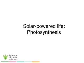 Solar-powered life: Photosynthesis