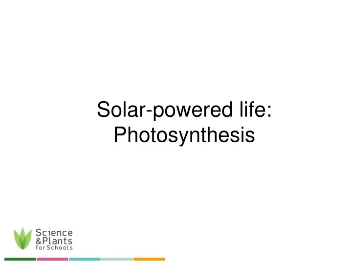 solar powered life photosynthesis