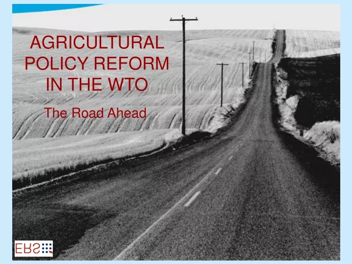 agricultural policy reform in the wto