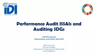 Performance Audit ISSAIs and Auditing SDGs