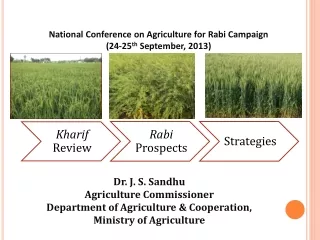 National Conference on Agriculture for Rabi Campaign (24-25 th  September, 2013)