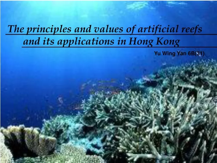 the principles and values of artificial reefs