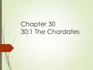 Chapter 30 30:1 The Chordates