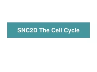 SNC2D The Cell Cycle