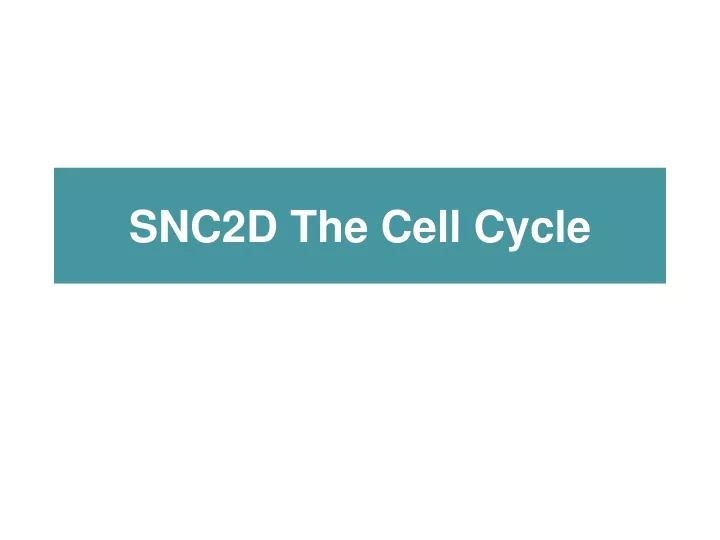 snc2d the cell cycle