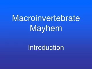 Macroinvertebrate Mayhem Introduction