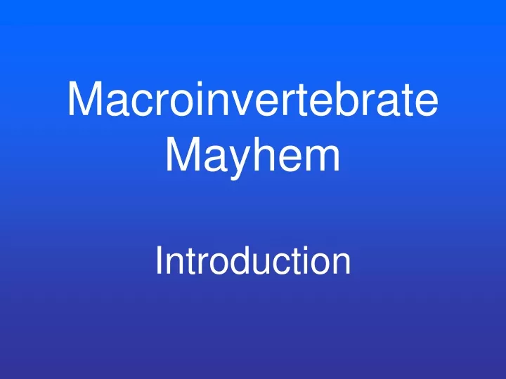 macroinvertebrate mayhem introduction