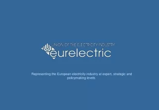 Representing  the  European  electricity industry at expert, strategic and policymaking levels.