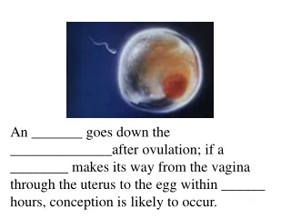 The embryo may float freely in the uterus for about ______before __________