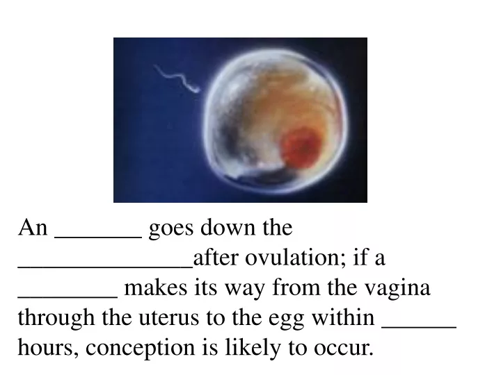 an goes down the after ovulation if a makes