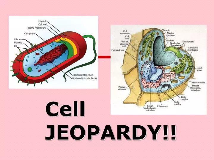cell jeopardy