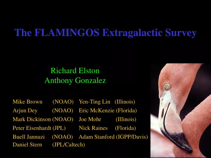 the flamingos extragalactic survey