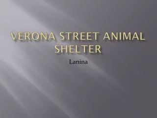 Verona Street Animal Shelter