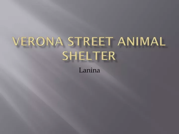 verona street animal shelter