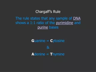 Chargaff’s Rule