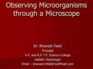 Observing Microorganisms through a Microscope