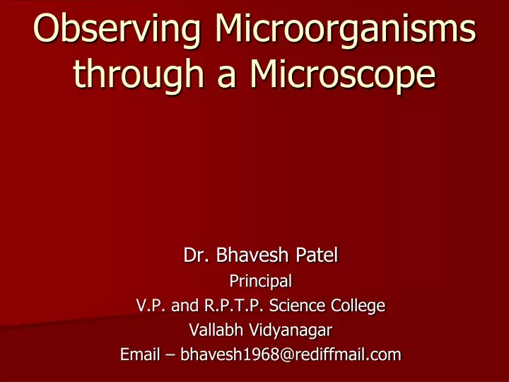 observing microorganisms through a microscope