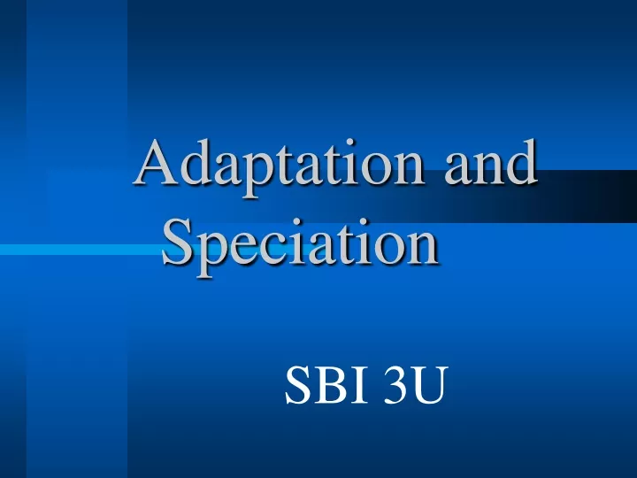 adaptation and speciation