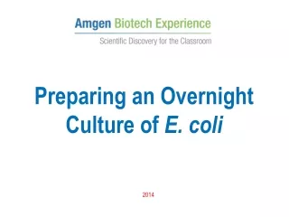 Preparing an Overnight Culture of  E. coli