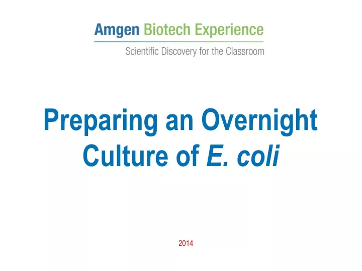 preparing an overnight culture of e coli
