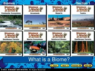 Biomes What is a Biome?