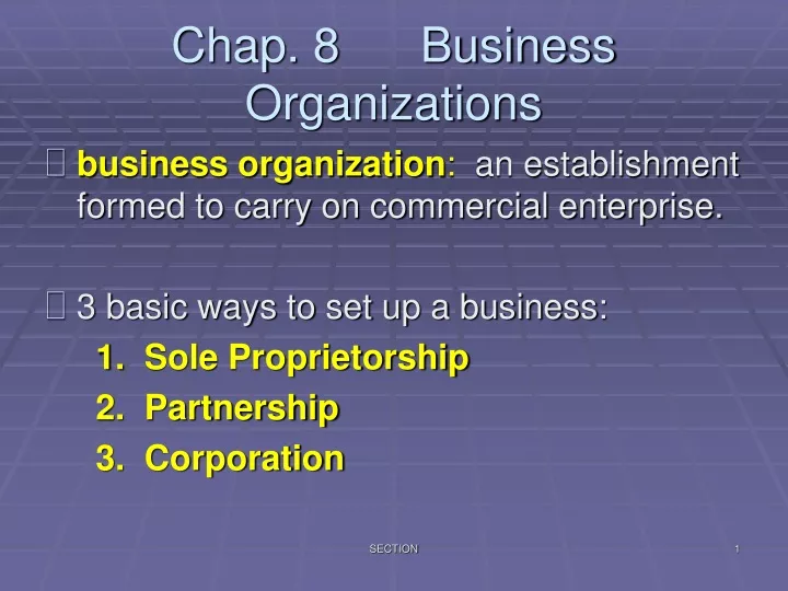 chap 8 business organizations