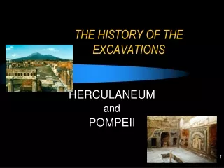 THE HISTORY OF THE EXCAVATIONS