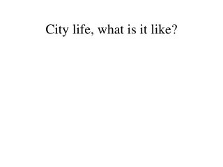 City life, what is it like?