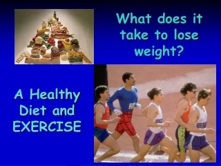 What does it take to lose weight?