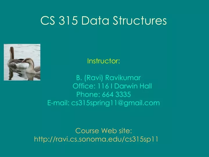 cs 315 data structures instructor b ravi