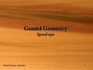 Geant4 Geometry Speed-ups
