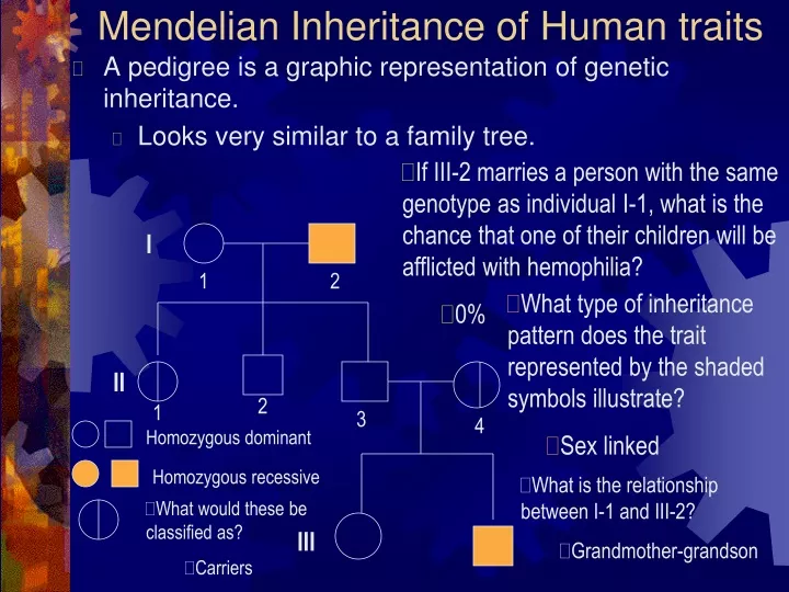 mendelian inheritance of human traits