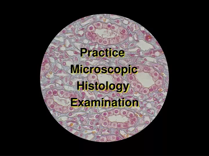 practice microscopic histology examination