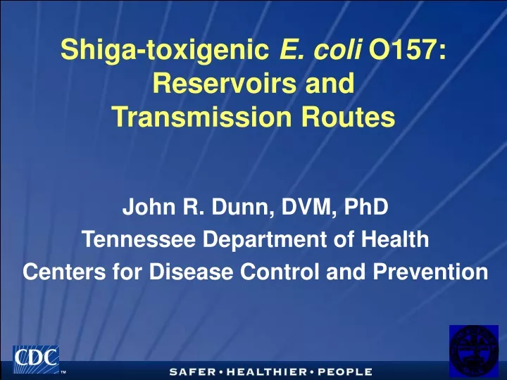 shiga toxigenic e coli o157 reservoirs and transmission routes