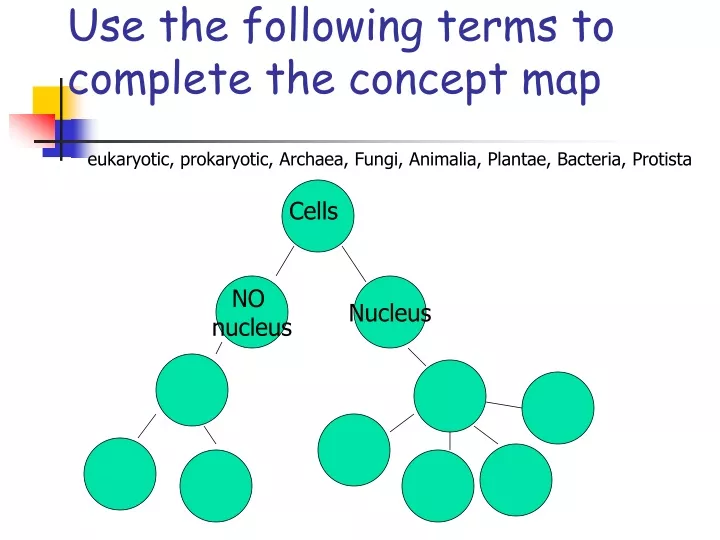 use the following terms to complete the concept map