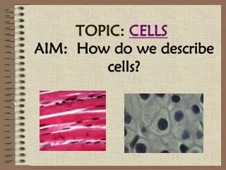 TOPIC:  CELLS