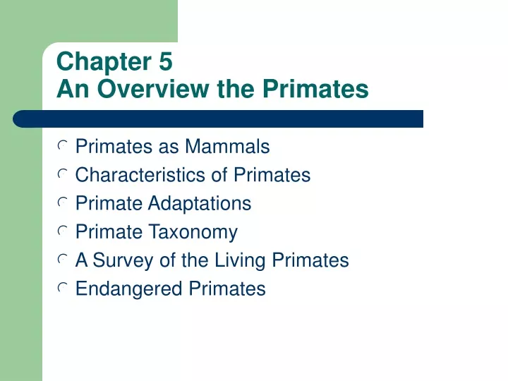 chapter 5 an overview the primates