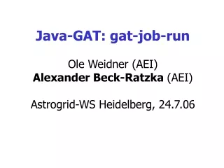 Java-GAT: gat-job-run