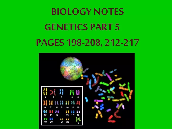 biology notes genetics part 5 pages 198 208 212 217