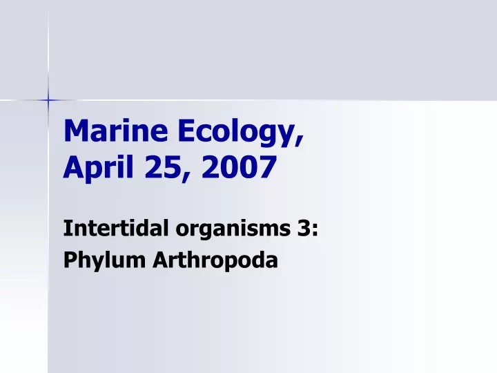 marine ecology april 25 2007