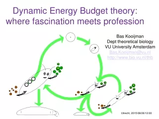 Dynamic Energy Budget theory: where fascination meets profession