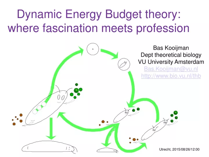 dynamic energy budget theory where fascination meets profession