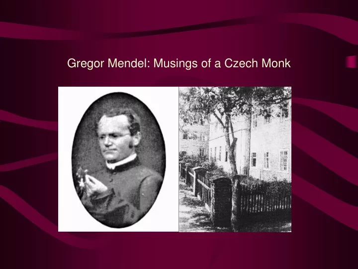 gregor mendel musings of a czech monk