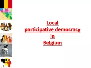 Local  participative democracy  in  Belgium