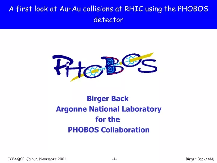 a first look at au au collisions at rhic using the phobos detector