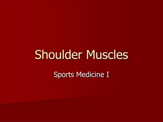 Shoulder Muscles